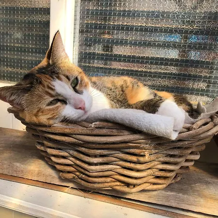 Huize Beemsterlaan *