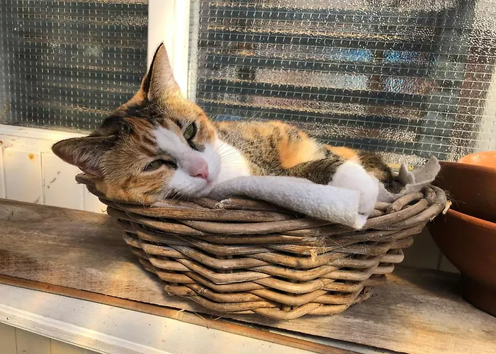 Huize Beemsterlaan *